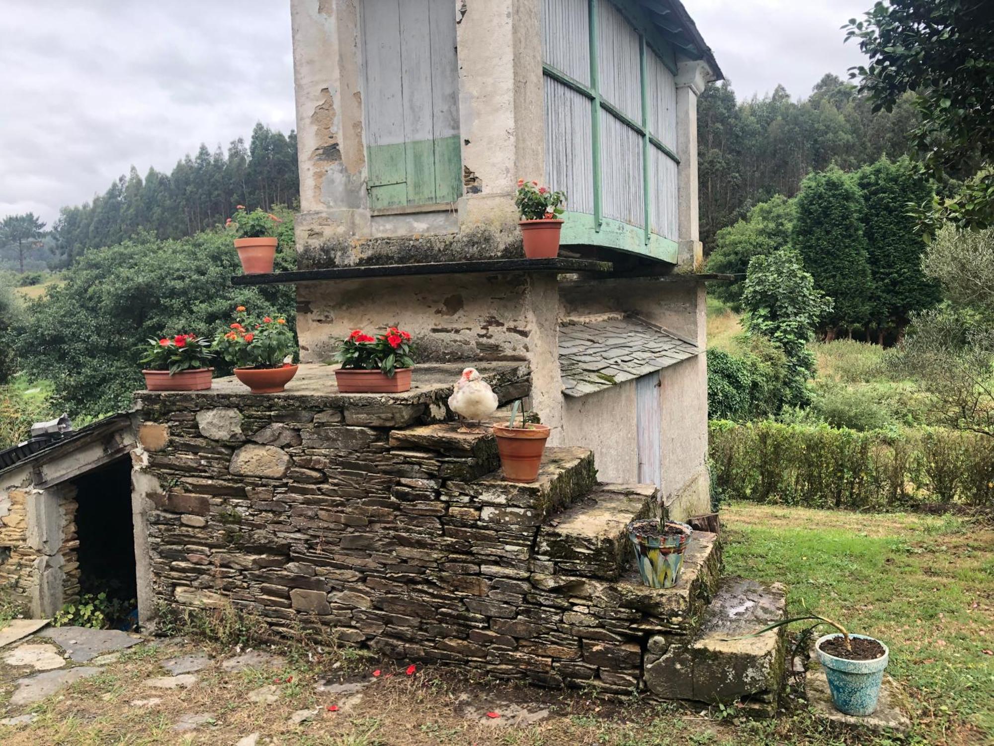 Casa De Campo Pumarada De Oirin フォス エクステリア 写真